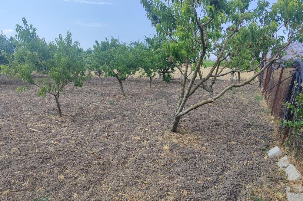 C21 LOCA'DAN BÜYÜK BOSTANCI'DA SATILIK ÇİFTLİK EVİ VE ARSASI
