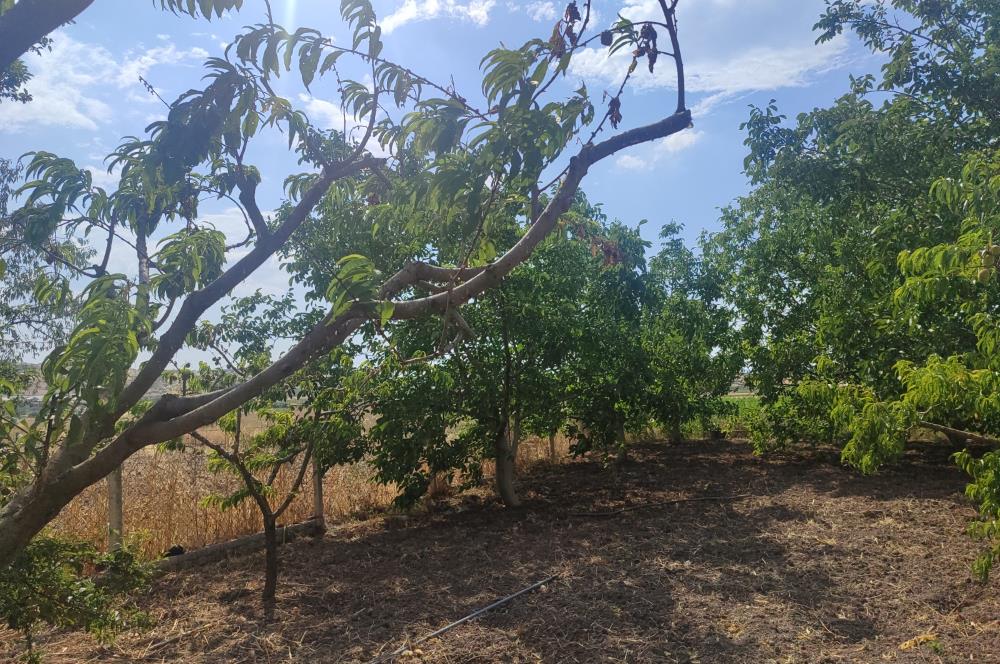 C21 LOCA'DAN BÜYÜK BOSTANCI'DA SATILIK ÇİFTLİK EVİ VE ARSASI