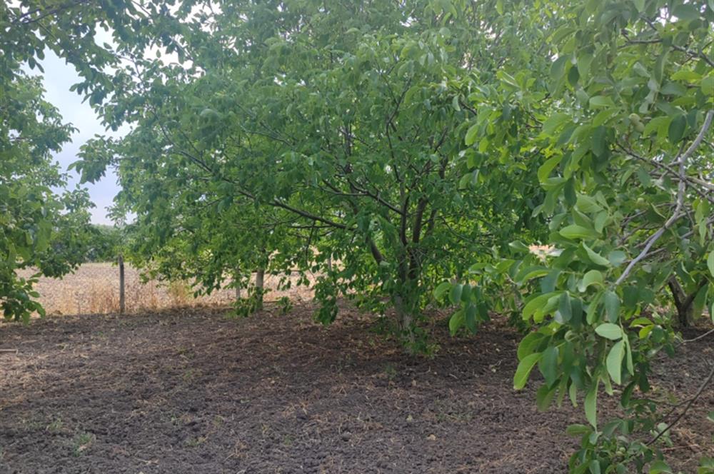 C21 LOCA'DAN BÜYÜK BOSTANCI'DA SATILIK ÇİFTLİK EVİ VE ARSASI