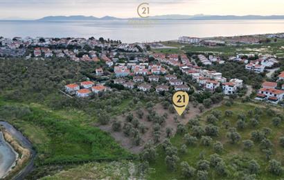 C21 Bal'dan Balıkesir Ayvalık Küçükköy’de Satılık Zeytinlik