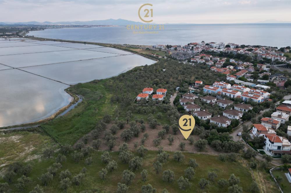 C21 Bal'dan Balıkesir Ayvalık Küçükköy’de Satılık Zeytinlik