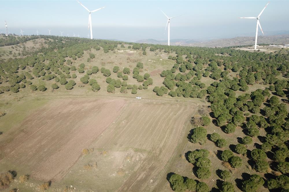 C21 WİNNER KARESİ YENİKÖYDE 8.973 m² SATILIK TARLA
