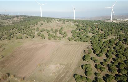 C21 WİNNER KARESİ YENİKÖYDE 8.973 m² SATILIK TARLA