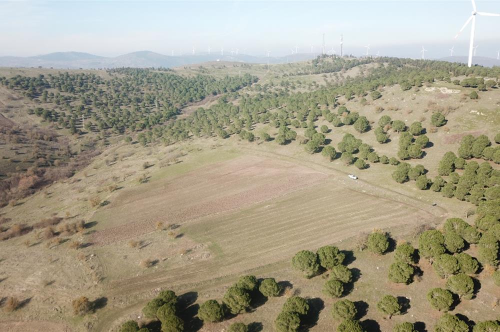 C21 WİNNER KARESİ YENİKÖYDE 8.973 m² SATILIK TARLA