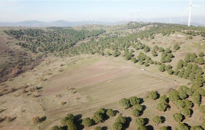 C21 WİNNER KARESİ YENİKÖYDE 8.973 m² SATILIK TARLA