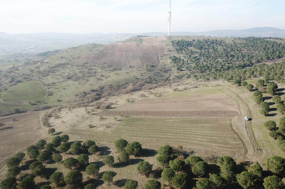 C21 WİNNER KARESİ YENİKÖYDE 8.973 m² SATILIK TARLA
