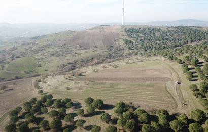 C21 WİNNER KARESİ YENİKÖYDE 8.973 m² SATILIK TARLA