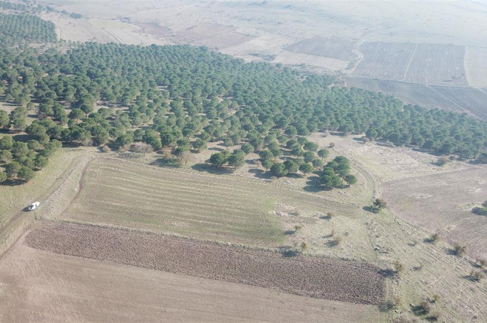 C21 WİNNER KARESİ YENİKÖYDE 8.973 m² SATILIK TARLA