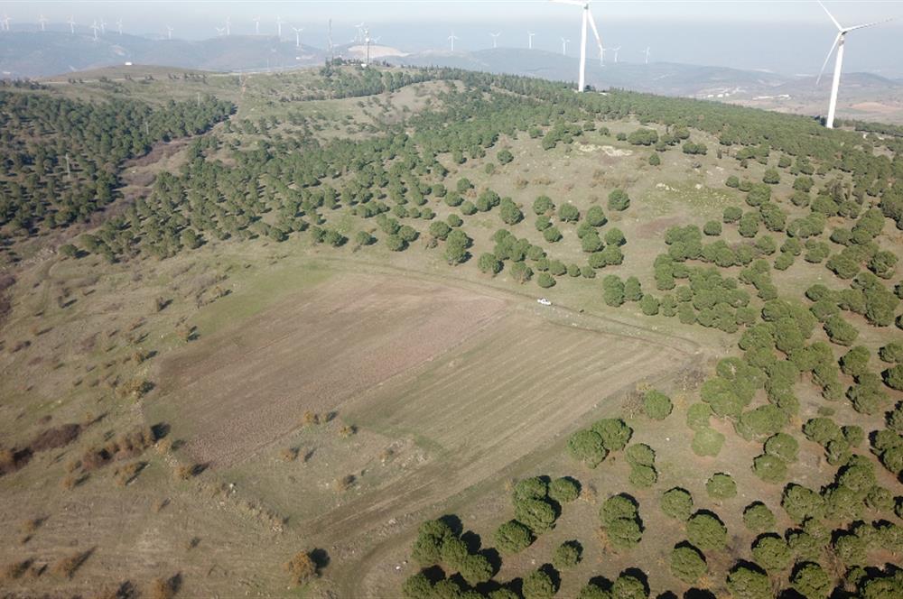 C21 WİNNER KARESİ YENİKÖYDE 8.973 m² SATILIK TARLA
