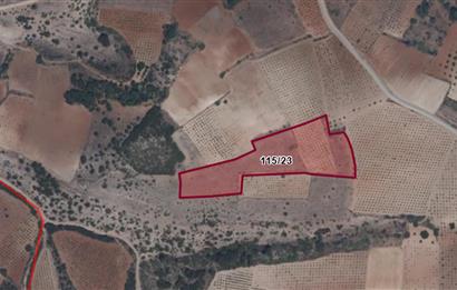 C21 LOFT'tan Çal Bağ Yolu'nda Develer'de Fiyatı Uygun ARSA