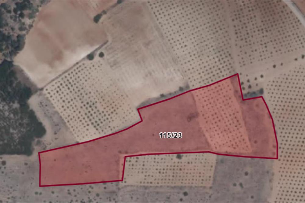 C21 LOFT'tan Çal Bağ Yolu'nda Develer'de Fiyatı Uygun ARSA