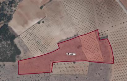 C21 LOFT'tan Çal Bağ Yolu'nda Develer'de Fiyatı Uygun ARSA