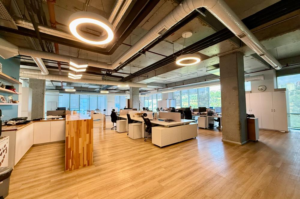 Kağıthane Kiralık Ofis Dubleks 630m2+200m2 Teraslı Polat Ofis