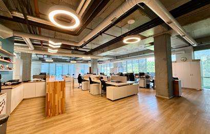 Kağıthane Kiralık Ofis Dubleks 630m2+200m2 Teraslı Polat Ofis