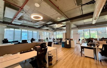 Kağıthane Kiralık Ofis Dubleks 630m2+200m2 Teraslı Polat Ofis