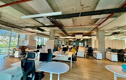 Kağıthane Kiralık Ofis Dubleks 630m2+200m2 Teraslı Polat Ofis