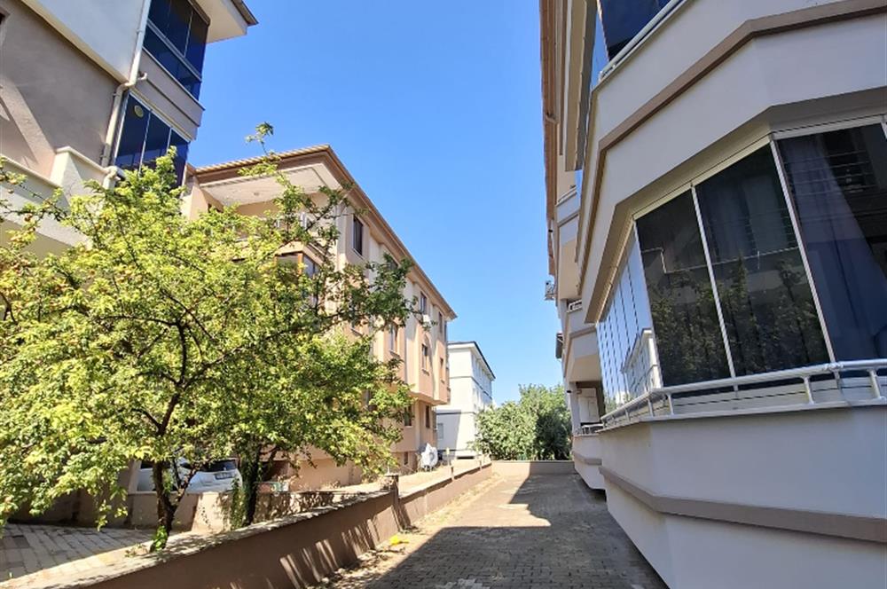 C21 BAL'DAN PLEVNE MAH. 1+1 KİRALIK DAİRE