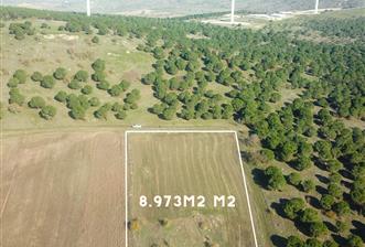 C21 WİNNER KARESİ YENİKÖYDE 8.973 m² SATILIK TARLA - 1 - 35568