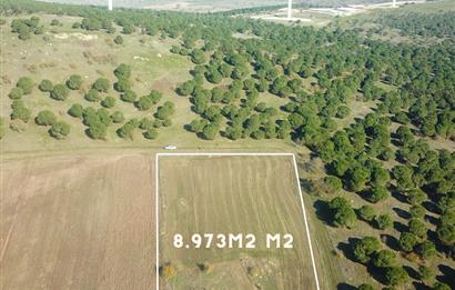 C21 WİNNER KARESİ YENİKÖYDE 8.973 m² SATILIK TARLA
