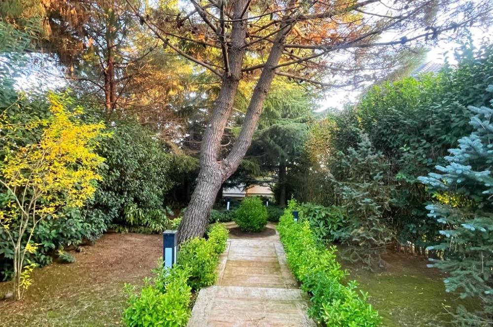Boğaz Manzaralı Müstakil Havuzlu 6+2 Satılık Villa