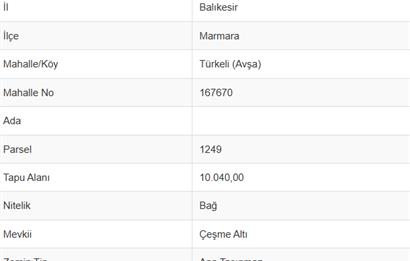 DENİZ MANZARALI SATILIK 10 DÖNÜM MÜSTAKİL BAĞ