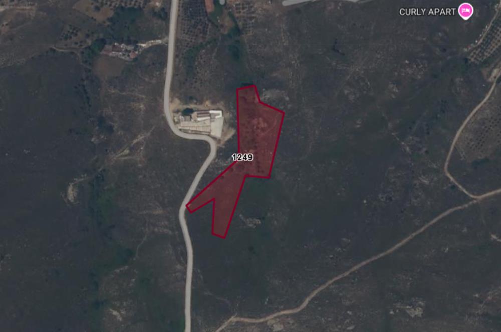 DENİZ MANZARALI SATILIK 10 DÖNÜM MÜSTAKİL BAĞ
