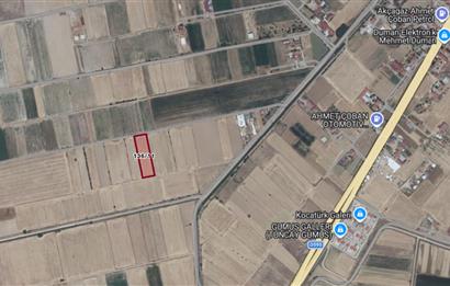 C21 LOFT'TAN ÇİVRİL KIRALAN'DA SATILIK TARLA
