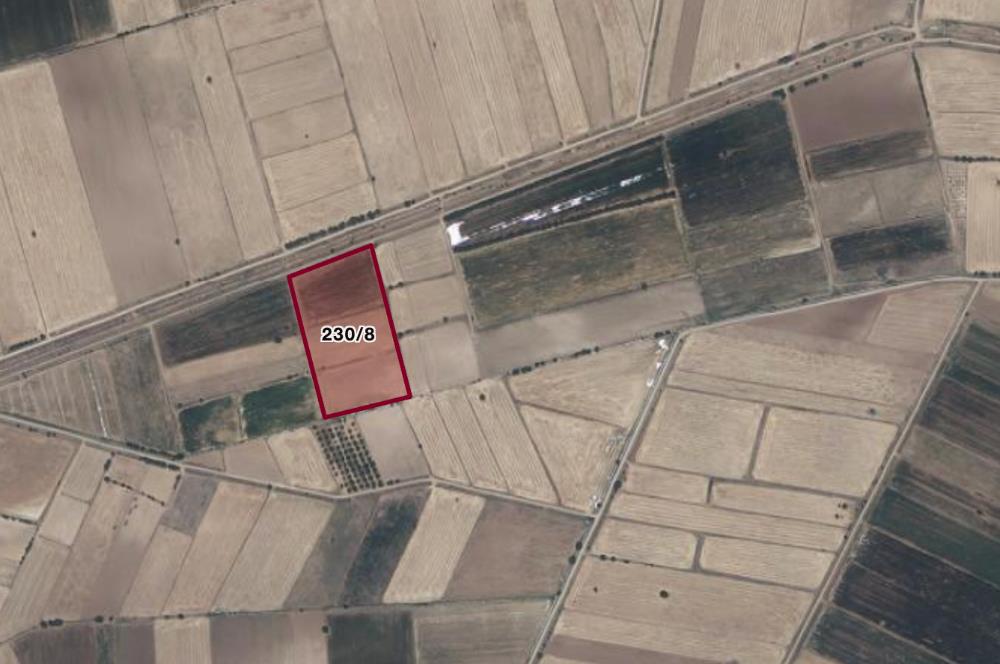 C21 LOFT'TAN ÇİVRİL KIRALAN'DA SATILIK TARLA