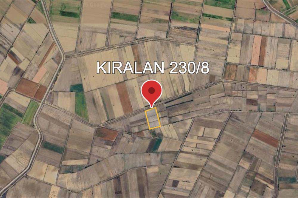 C21 LOFT'TAN ÇİVRİL KIRALAN'DA SATILIK TARLA