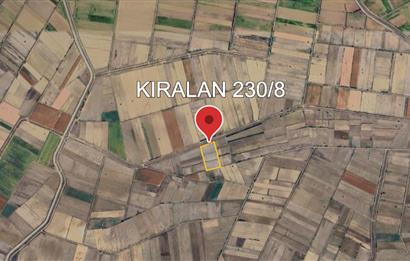 C21 LOFT'TAN ÇİVRİL KIRALAN'DA SATILIK TARLA
