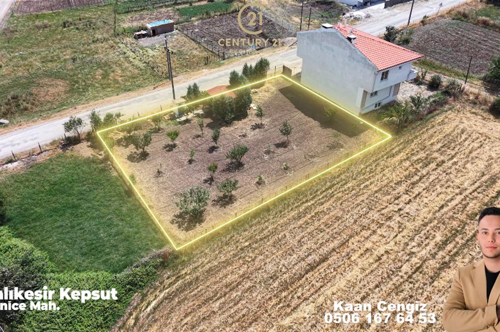 C21 BAL'dan HOBİ BAHÇESİNE ve TİCARİYE UYGUN KİRALIK ARSA