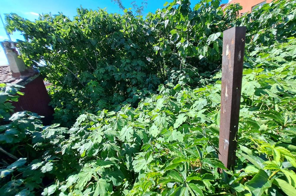 Balat'ın Merkezinde Konut İmarlı 80,36 m² Satılık Arsa