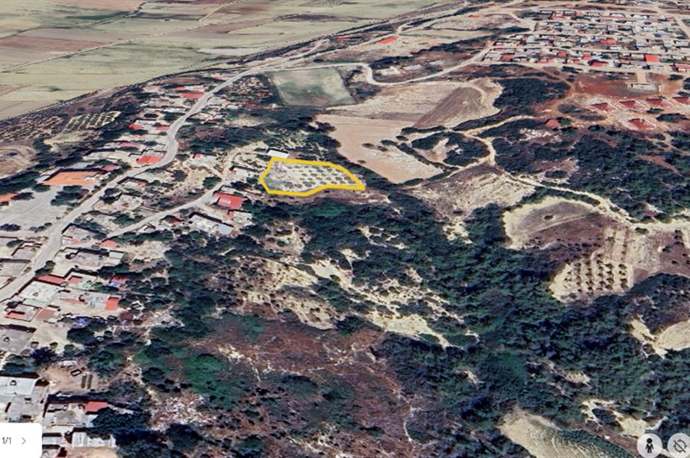 ADANA SARIÇAM KIZILKAŞTA TEK TAPU 1976 METREKARE ARSAMIZ SATILIK