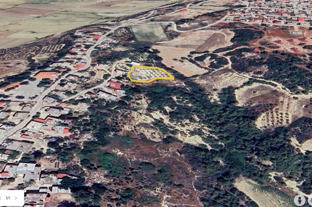 ADANA SARIÇAM KIZILKAŞTA TEK TAPU 1976 METREKARE ARSAMIZ SATILIK