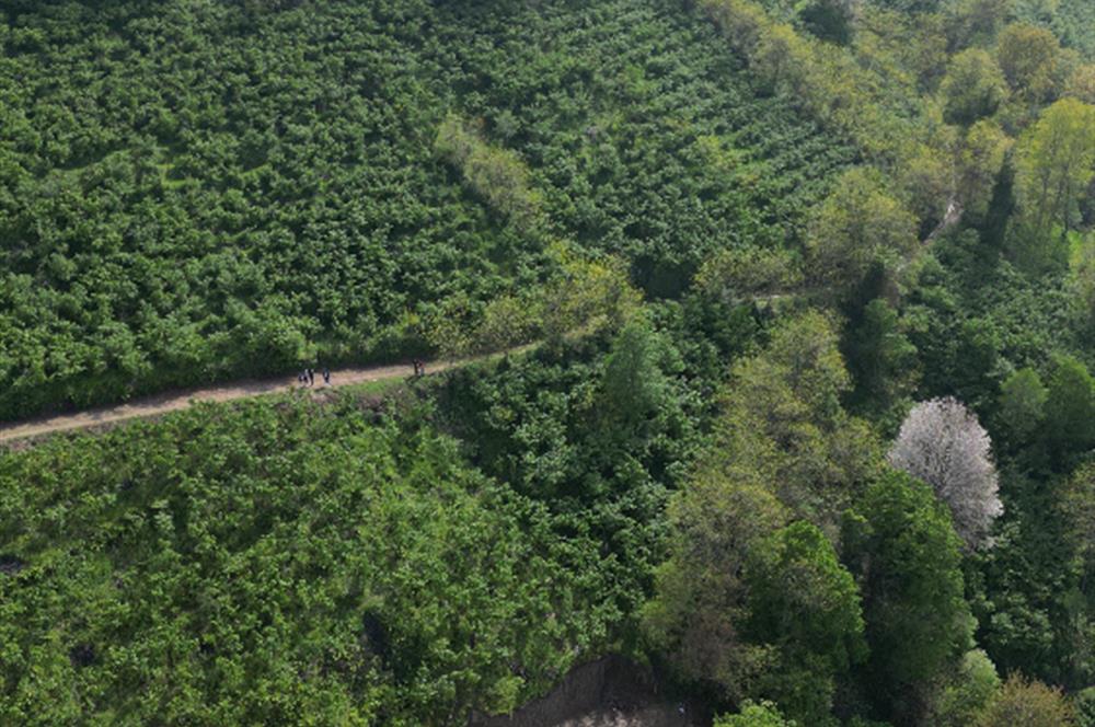 CENTURY 21'DEN PERŞEMBE KORDONTEPE’DE MANZARALI ARSA FIRSATI