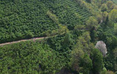 CENTURY 21'DEN PERŞEMBE KORDONTEPE’DE EŞSİZ MANZARALI ARSA FIRSATI
