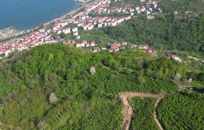 CENTURY 21'DEN PERŞEMBE KORDONTEPE’DE EŞSİZ MANZARALI ARSA FIRSATI
