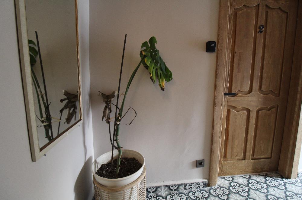Taksim'e 5 Dk | Airbnb Ruhsatlı | Full Tadilatlı Komple Bina