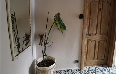 Taksim'e 5 Dk | Airbnb Ruhsatlı | Full Tadilatlı Komple Bina