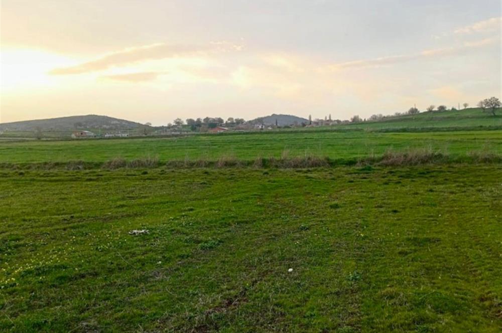 BALIKESİR NAİPLİ'DE YATIRIM FIRSATI 1546 M2 TARLA!