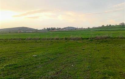 BALIKESİR NAİPLİ'DE YATIRIM FIRSATI 1546 M2 TARLA!