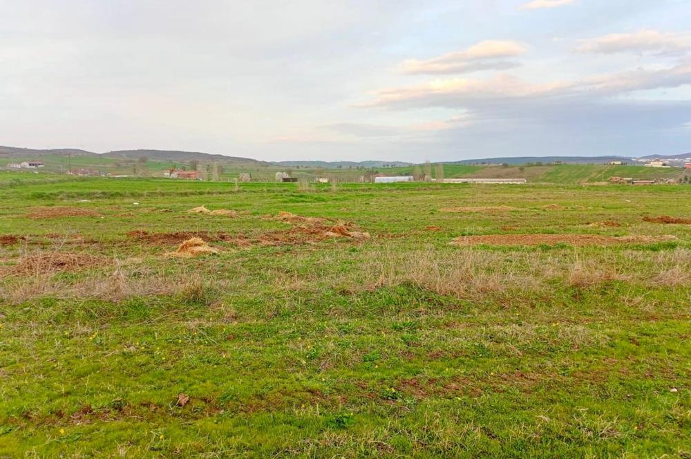 BALIKESİR NAİPLİ'DE YATIRIM FIRSATI 1546 M2 TARLA!