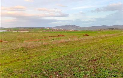 BALIKESİR NAİPLİ'DE YATIRIM FIRSATI 1546 M2 TARLA!