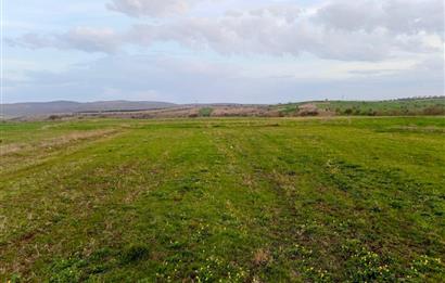 BALIKESİR NAİPLİ'DE YATIRIM FIRSATI 1546 M2 TARLA!