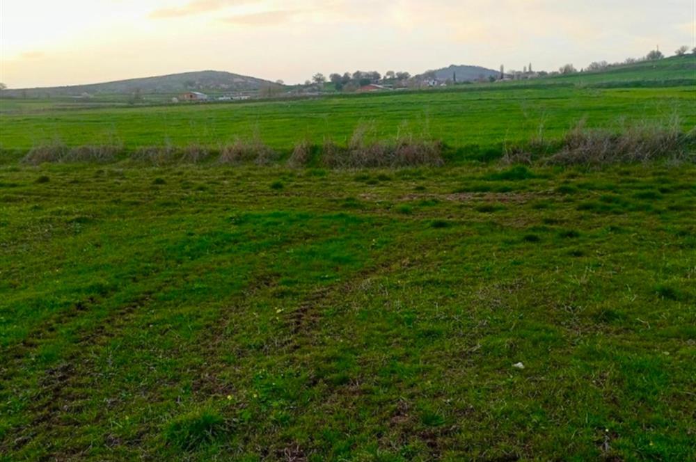 BALIKESİR NAİPLİ'DE YATIRIM FIRSATI 1546 M2 TARLA!