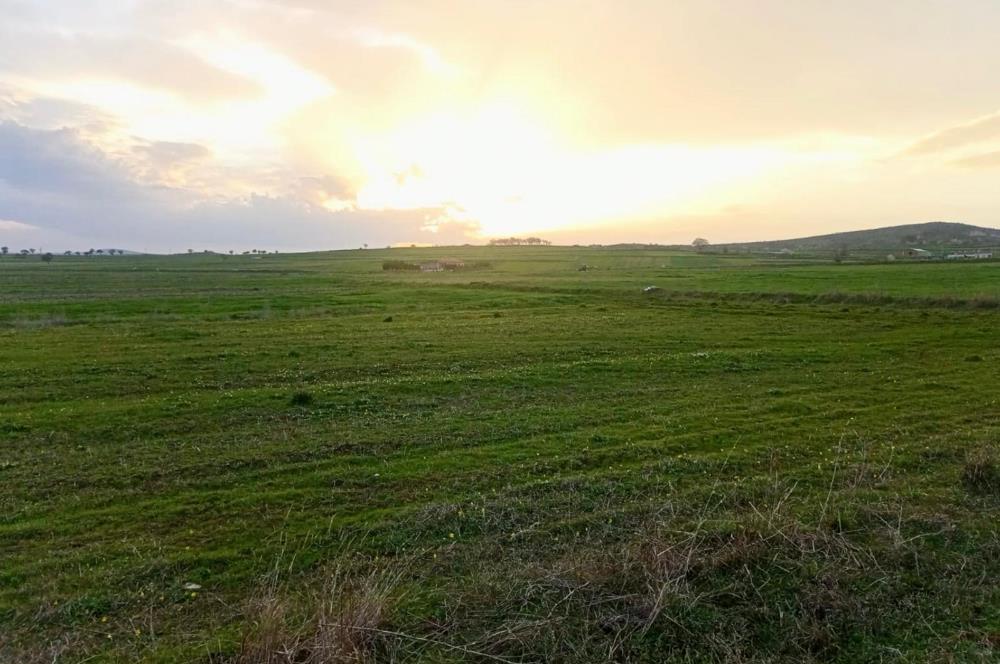 BALIKESİR NAİPLİ'DE YATIRIM FIRSATI 1546 M2 TARLA!