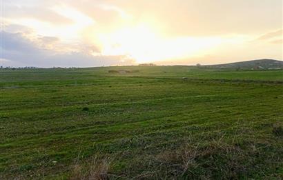 BALIKESİR NAİPLİ'DE YATIRIM FIRSATI 1546 M2 TARLA!