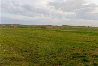 BALIKESİR NAİPLİ'DE YATIRIM FIRSATI 1546 M2 TARLA! - 1 - 35783
