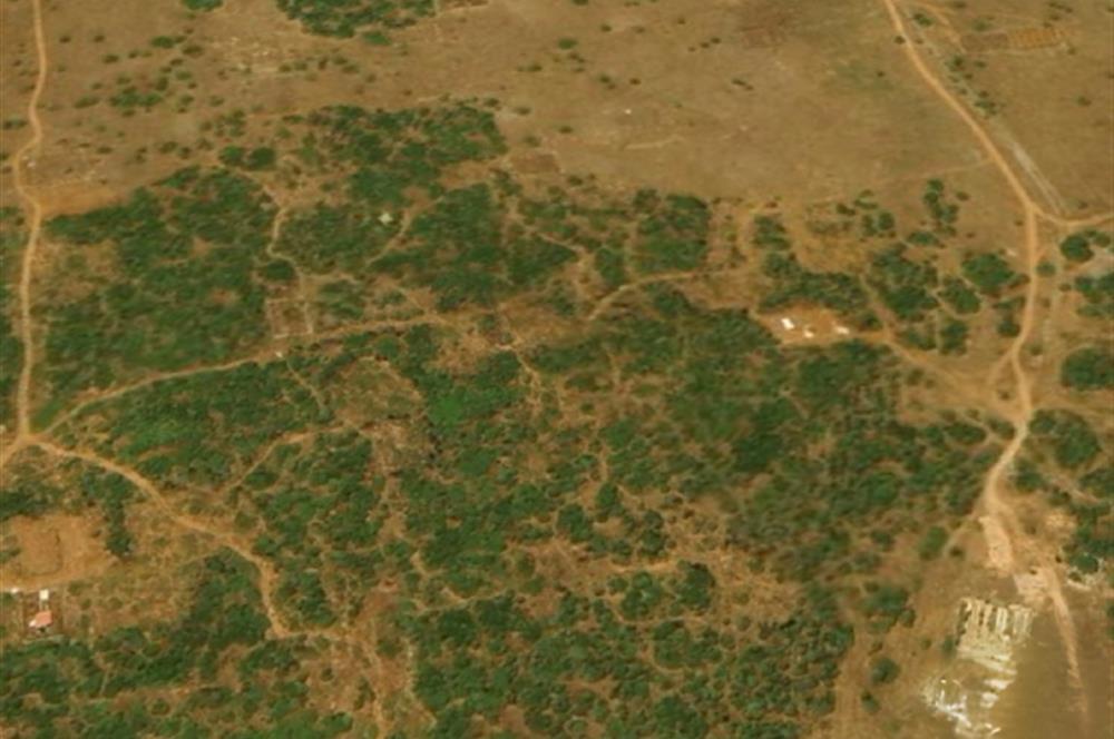 DİDİM 2. BALOVADA SATILIK 324 M2 VİLLA İMARLI KÖŞE ARSA