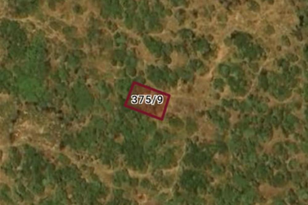 DİDİM 2. BALOVADA SATILIK 324 M2 VİLLA İMARLI KÖŞE ARSA